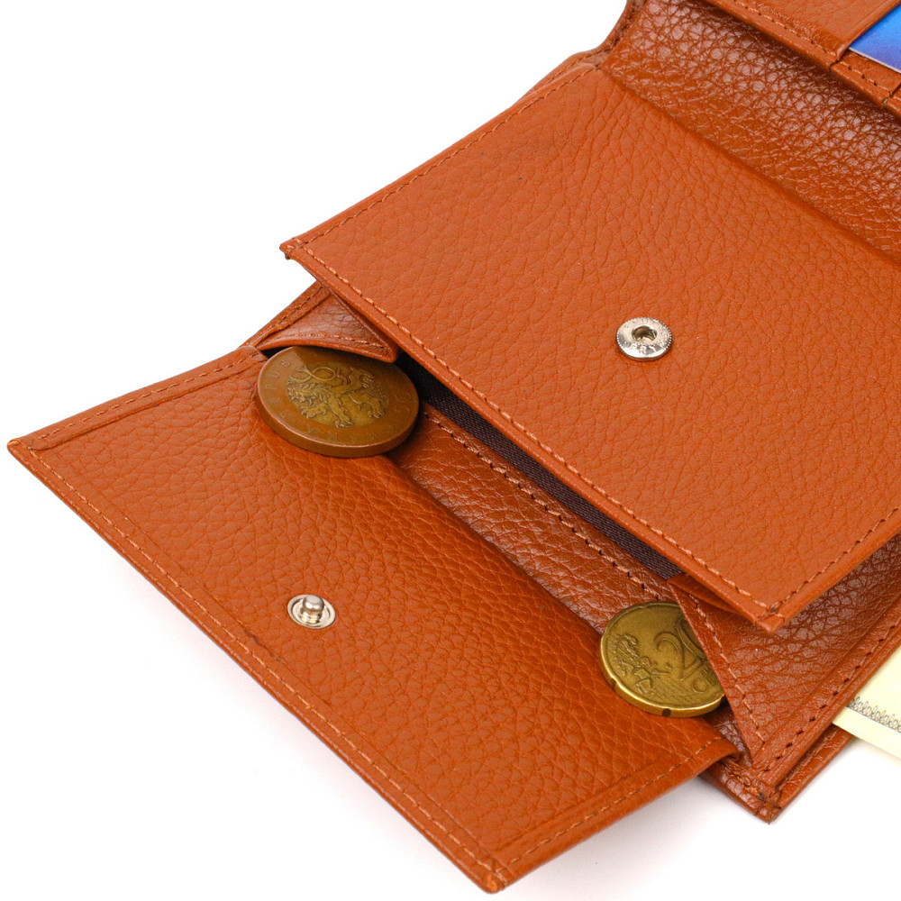 Стильный мужской кошелек вертикального формата из натуральной кожи Рыжий (CANPELLINI) Киев - изображение 1