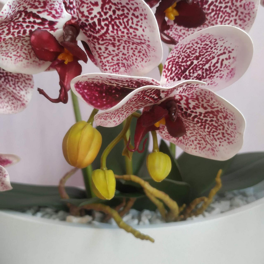 Штучна латексна орхідея VIP в керамічному кашпо на три білі гілки з бордовим градієнтом. Дніпро - фото 5