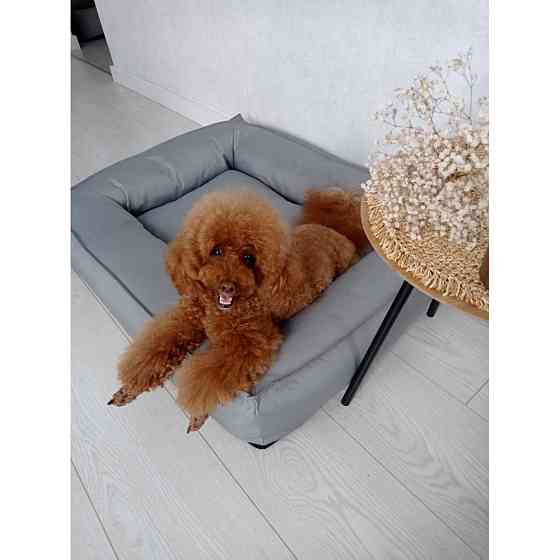 Водонепроникний лежак лежанка спальне місце для тварин зі знімним чохлом сірий S (60см) Київ