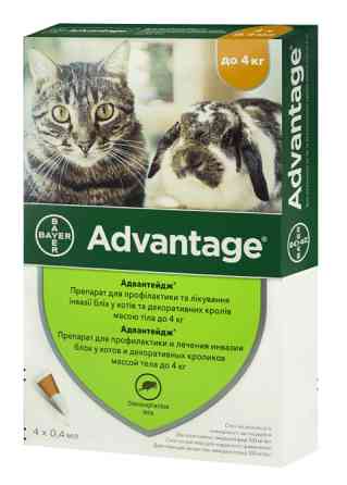 Капли от блох Advantage (Адвантейдж) 40 для котов и декоративных кроликов до 4 кг (1 пипетка 0,4 мл) Bayer Винница