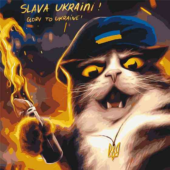 Котик повстанец ©Марианна Пащук Киев