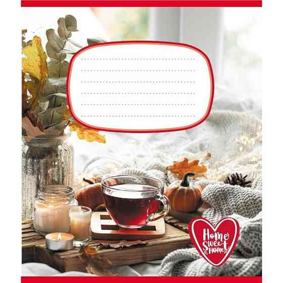 Зошит учнівський "Домашній затишок" 018-540253L-3 в лінію, 18 аркушів Вінниця