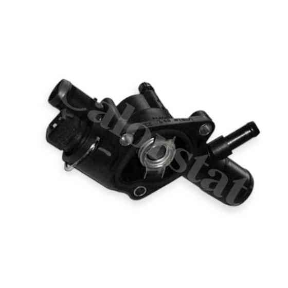 Термостат Кенго 1.5dCi 02- (45-60кВт) Рено Мукачево