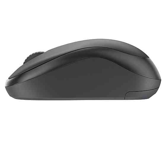 Миша бездротова Logitech M240 for Business (910-007182) Чорно-сірий Харьков