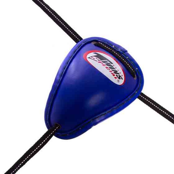 Защита паха (ракушка) для тайского бокса TWINS GPS1 размер S-XL цвета в ассорт. Защита для боевых искусств Киев