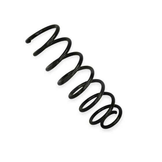 Пружина Renault Megane III хетч. 08- задняя Мукачево