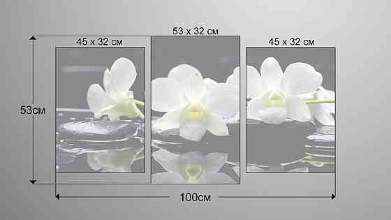 Модульна картина Квіти Орхідея Art-35_3 Київ