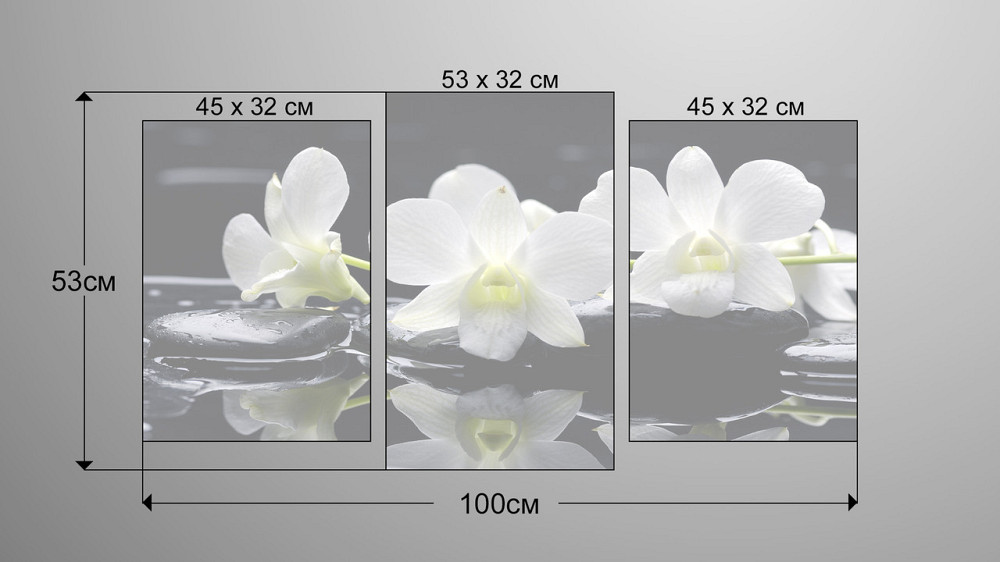 Модульна картина Квіти Орхідея Art-35_3 Київ - фото 3