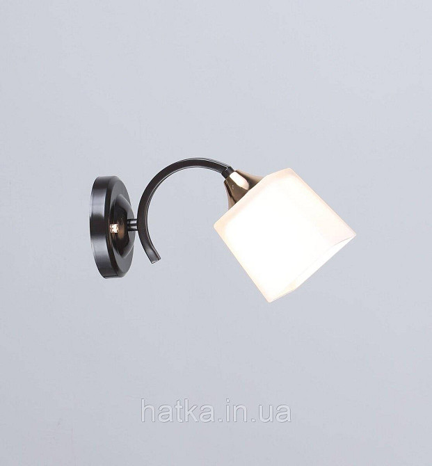 Бра настенная Sirius B N4474/1 COFFEE+FGD Киев - изображение 1