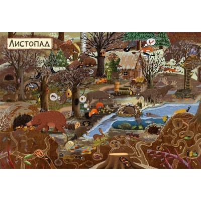 Книга Рік у лісі - Емілія Дзюбак Видавництво Старого Лева (9786176792789) Вінниця - фото 5