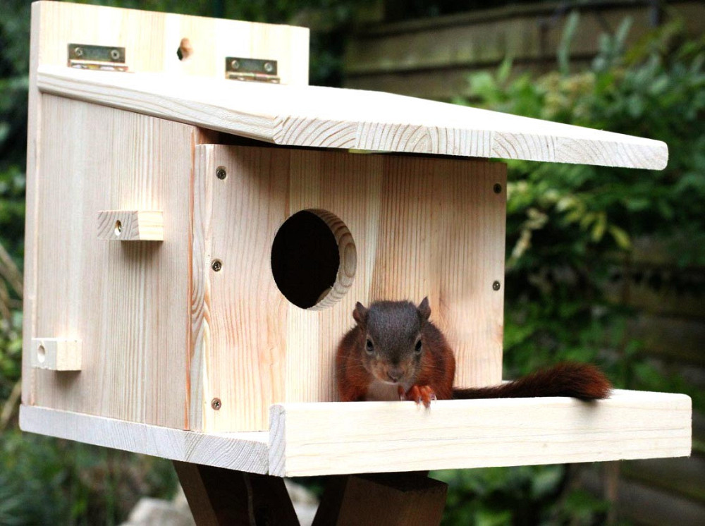 Будиночок для білок "Кукуї" бланже Миколаїв - фото 1