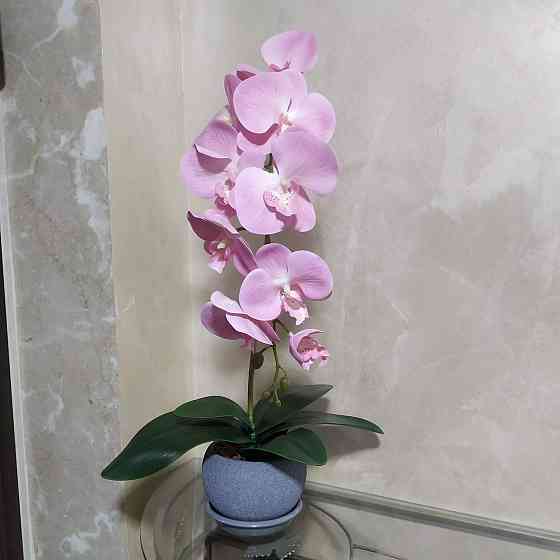Штучна латексна орхідея VIP у сірому керамічному кашпо на одну рожеву гілку Дніпро