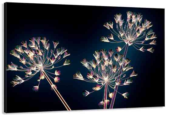 Картина полотно у вітальню / спальню   Квіти на чорному фоні   MLP_372 ( 60х30см ) 40x80 см Київ