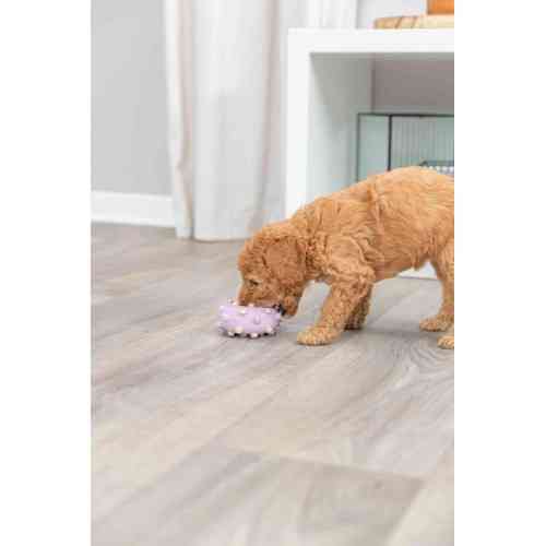 Іграшка Trixie для цуценят Кільце Junior латекс 8 см Київ