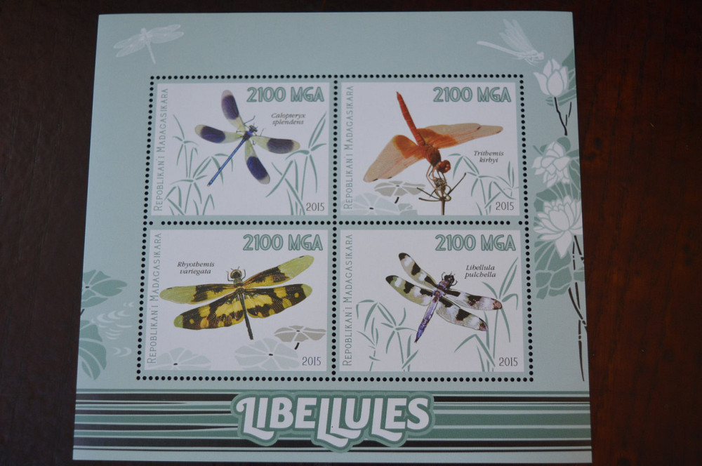 Мадагаскар. Фауна. Личности. Блок. (А-35) Полтава - изображение 1