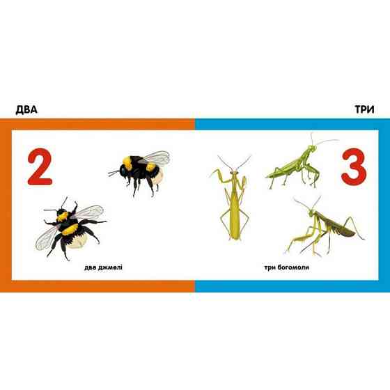 Дитяча смарт-книжечка "Лічимо комах" 944010, 24 сторінки Вінниця