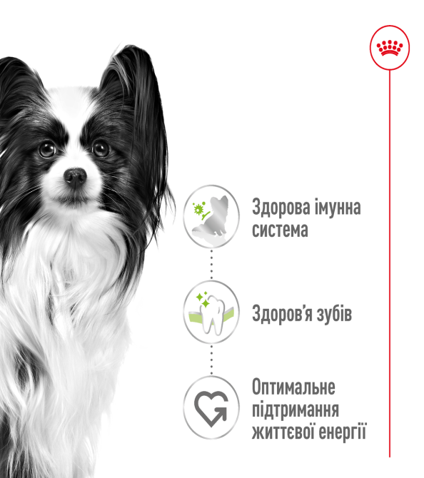 Сухий корм для дорослих собак дрібних порід ROYAL CANIN XSMALL ADULT 0.5 кг Київ - фото 2