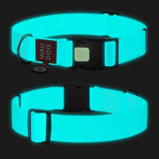 Ошейник для собак водостойкий WAUDOG Waterproof с QR паспортом, светонакопительный, пластиковый фастекс, XXL, Ш 40 мм, Длинна 46-70 см Киев