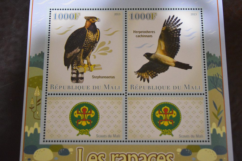 Мали. Фауна. Блок. 2014 год (А-20) Полтава - изображение 1