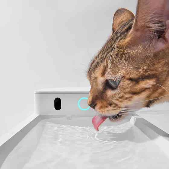 Поїлка CATLINK AI Water Fountain - Wired (6972884750880) Київ