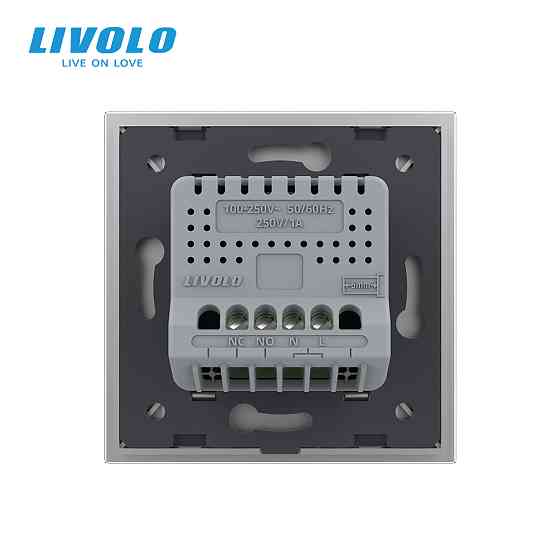LIVOLO Електрична розетка з USB Type-C 18Вт для зарядки, з заземленням, LIVOLO, сіра, скляна ра Коломия