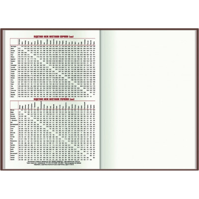 Тижневик Economix датований 2024 Spectrum, бірюза А5 (E21848) Вінниця - фото 7