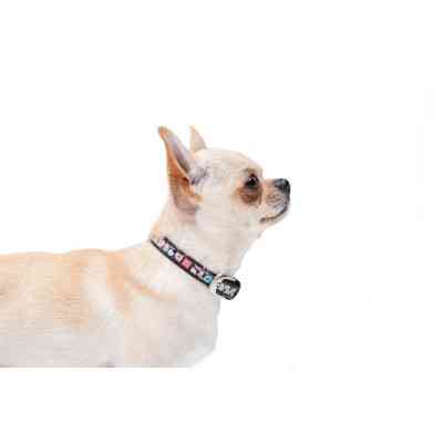 Ошейник для животных WAUDOG Design с QR паспортом "Пончики" Ш 12 мм Д 20-28 см черный (36911) Винница