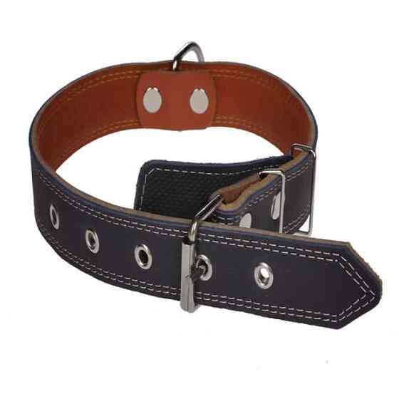 Нашийник 4225 30мм "Перламутр" шкіряний подвійний Синій Вінниця