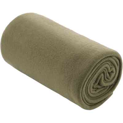 Плед Ardesto Fleece 100% полиэстер, зеленый 130х160 см (ART0730PB) Винница