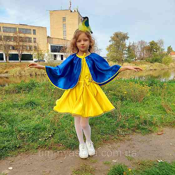 Обруч синички Синичка Кривий Ріг
