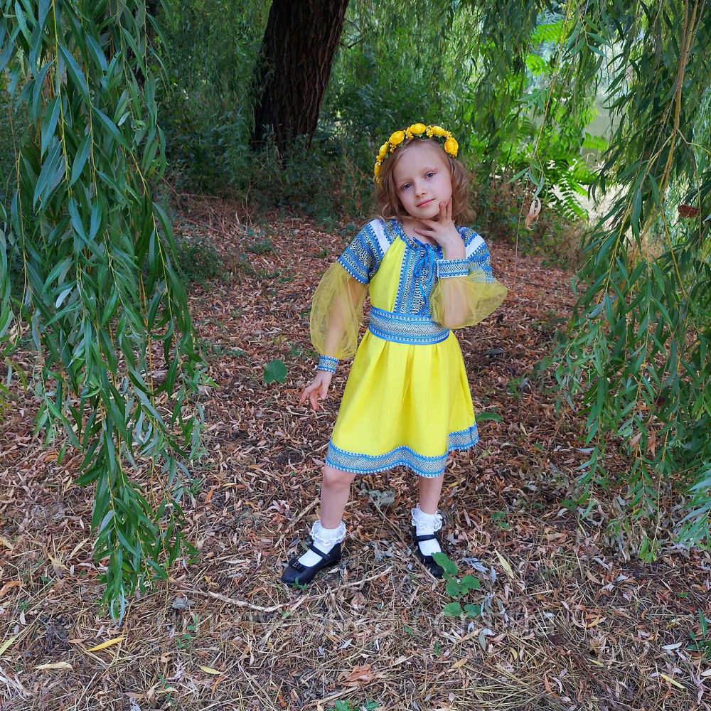 Сукня вишиванка жовто-синя Казкова тканна Кривий Ріг - фото 7
