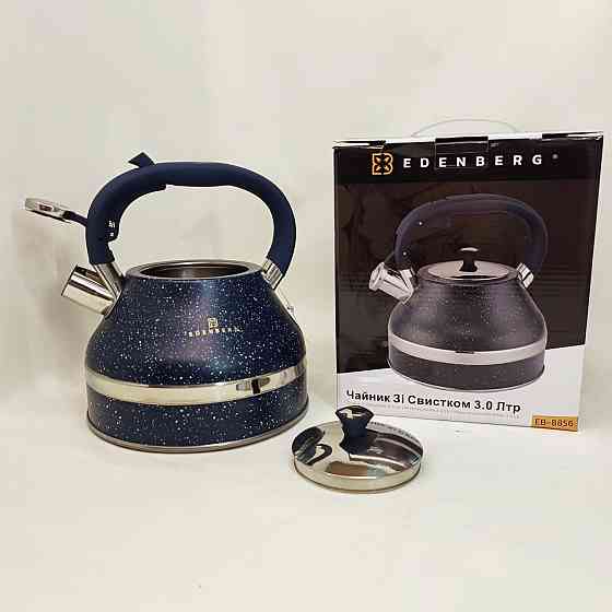 Чайник газовий красивий, Кухонний чайник газовий, Хороший чайник зі свистком 3 л зі свистком KH-80 Львів