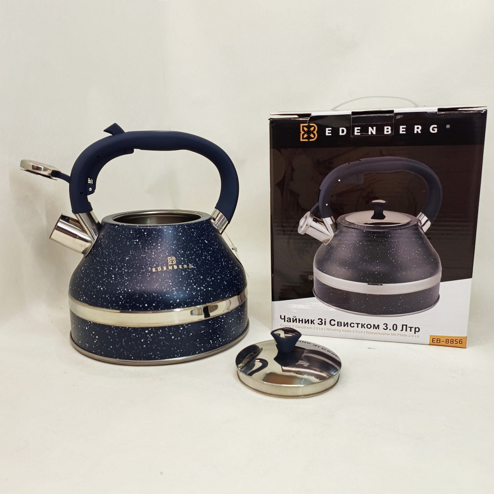 Чайник газовий красивий, Кухонний чайник газовий, Хороший чайник зі свистком 3 л зі свистком KH-80 Львів - фото 5
