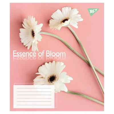 Зошит Yes Essence of Bloom А5 24 аркушів лінія (767718) Вінниця