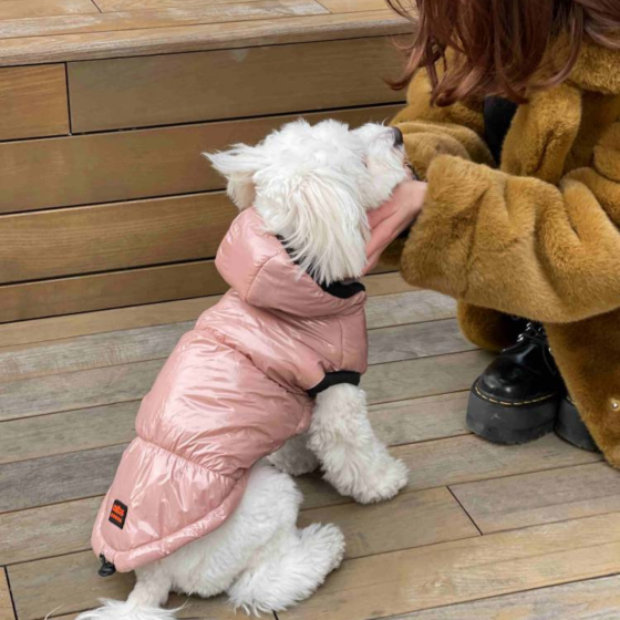 Жилетка для собак Лакированная утепленная на флисе, жилет лаковый Dogs Bomba на синтепоне пудровый 9 Одесса