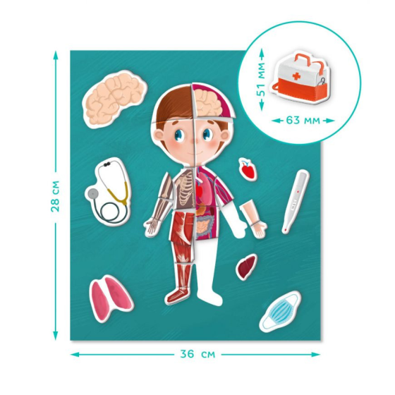 Розвиваюча магнітна гра "Людське тіло" DoDo 200220 Вінниця