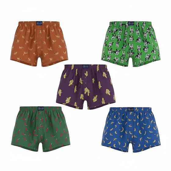 Набор мужских семейных трусов (5шт в наборе) Doremi Ассорти 2 (M) Киев