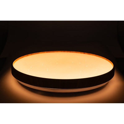 Светильник Vestum FOREST зоряне небо 60W 395*65мм 3000К-6500К з ДК тік (VS-91061) Винница - изображение 4