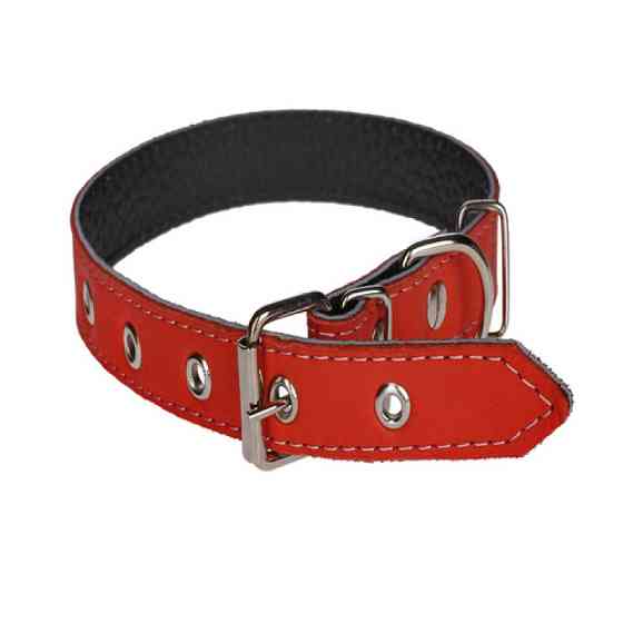 Нашийник 1522 15мм "Перламутр" шкіра подвійний Червоний Вінниця