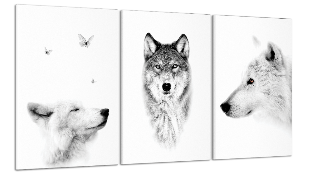 Модульна картина Природа Вовк Art-9_B3 Київ - фото 1