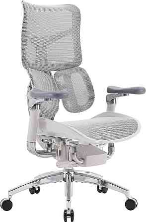 Крісло офісне Sihoo Doro S300 Mesh Light Grey (S300-M202) ( 23741 ) Харків
