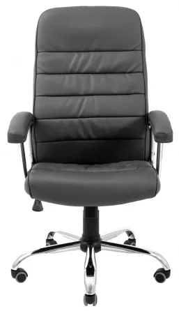 Офісне Крісло Керівника Richman Lion Fly 2230 Хром М2 AnyFix Чорний Київ