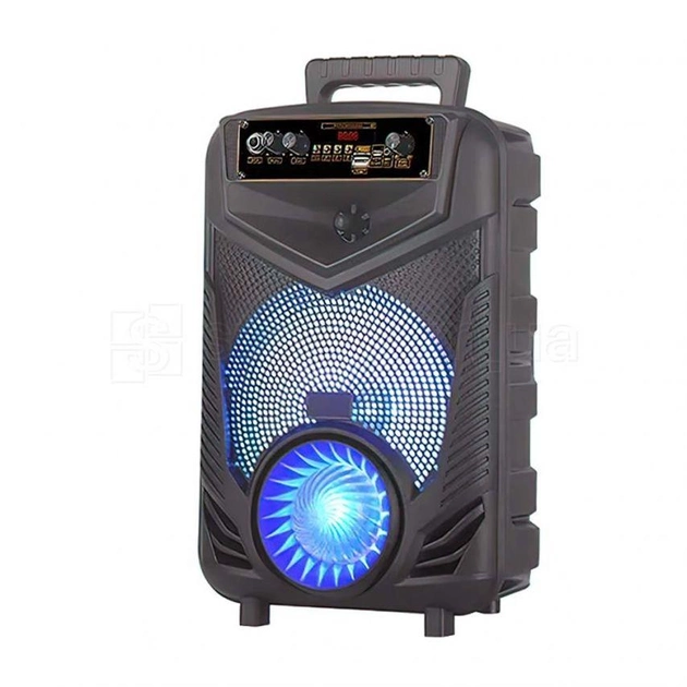 Портативна Bluetooth-колонка NDR-P44 8 дюймів (Black) Вінниця - фото 1