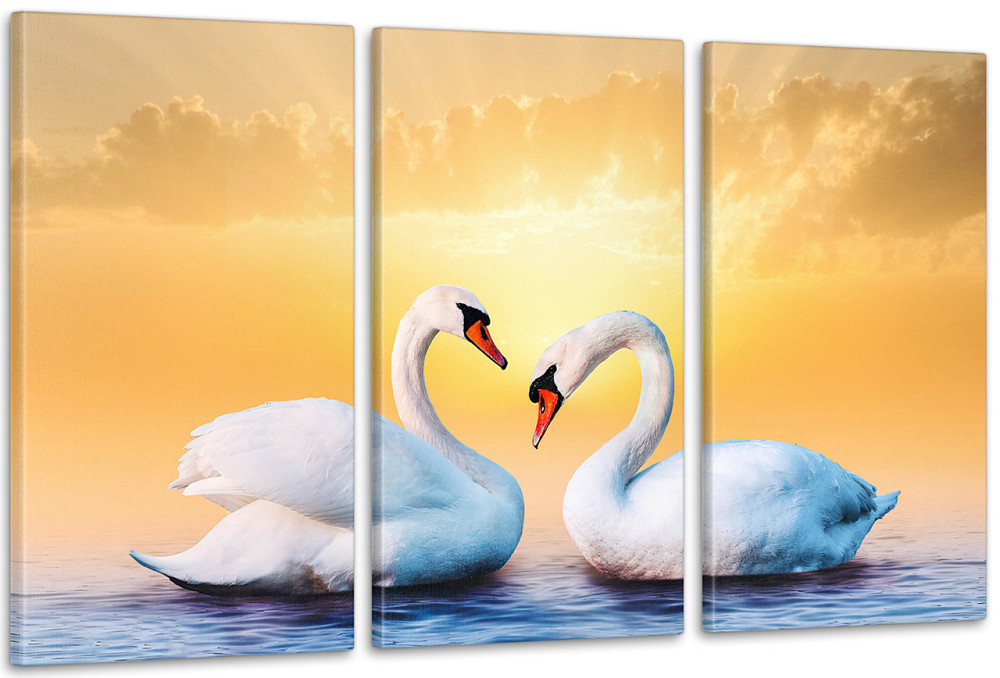 Модульная картина Природа Лебеди Аrt-192_3А 100x150 см Киев - изображение 1