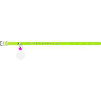 Нашийник для тварин WAUDOG GLAMOUR з резинкою і стразами для кішок (салатовий) (32545) Вінниця