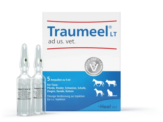 Траумель Хеель №5 ампул по 5 мл  (ветеринарний) Вінниця