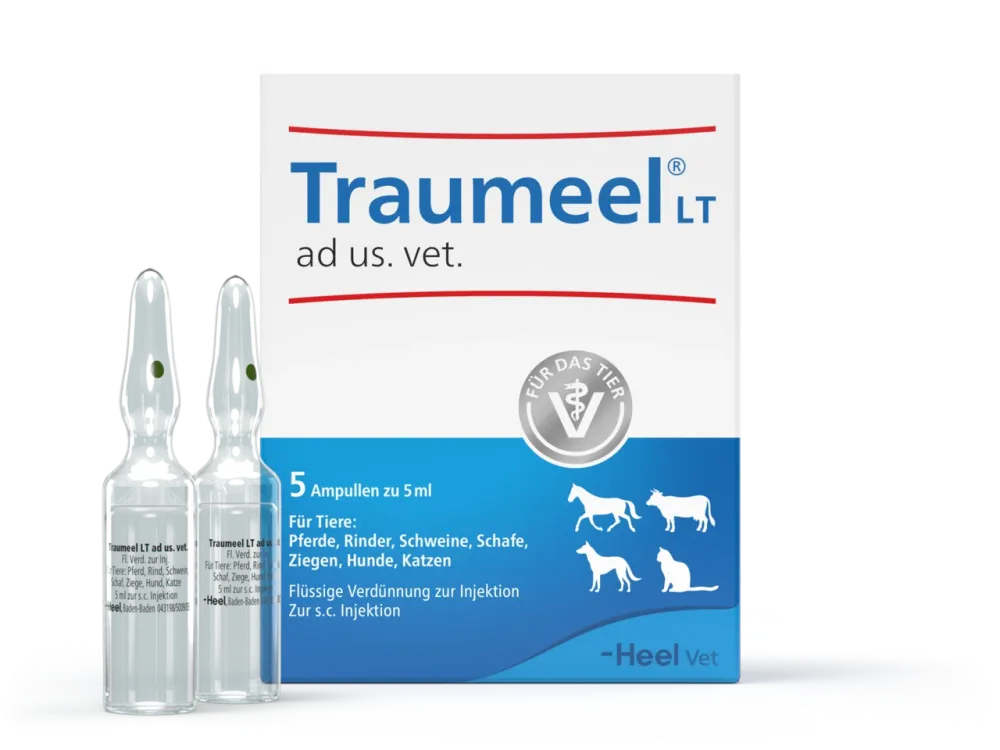 Траумель Хеель №5 ампул по 5 мл  (ветеринарний) Вінниця - фото 1