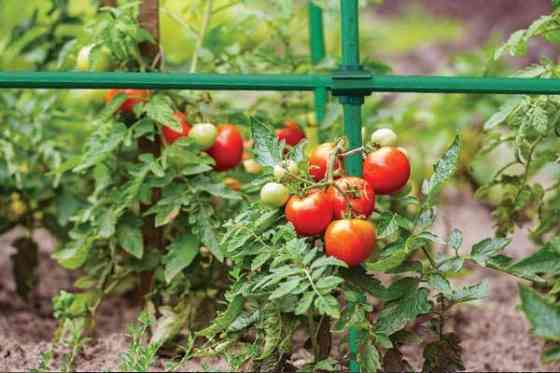 Соединитель угловой для садовых опор 11мм – 10 шт, TYLK11 Киев