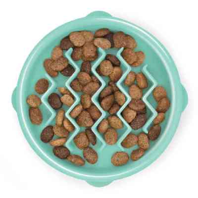 Посуда для собак Outward Hound Миска-лабиринт Fun Feeder волна XS мятная (0700603678292) Винница