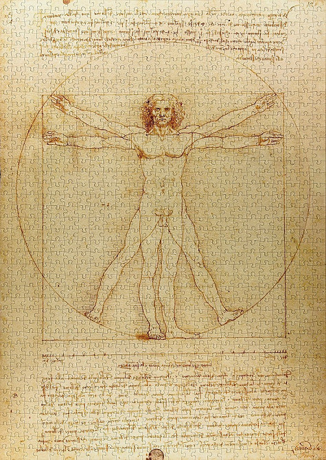 Пазл Вітрувіанська людина - The Vitruvian Man (Enjoy-1557) Киев - изображение 5